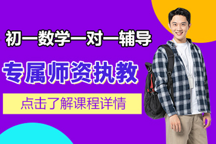 初一数学一对一辅导