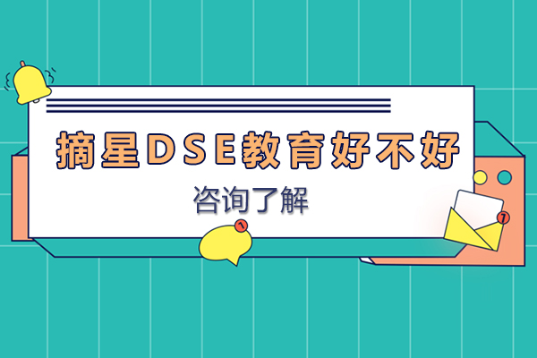 深圳摘星DSE教育好不好