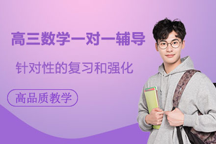 高三数学一对一辅导