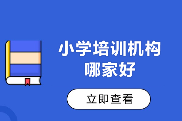 小学培训机构哪家好－小学培训机构排行榜