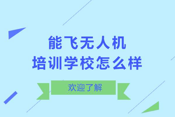 东莞能飞无人机培训学校课程解析