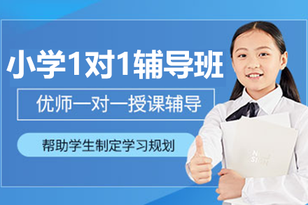 上海小學(xué)1對1輔導(dǎo)班