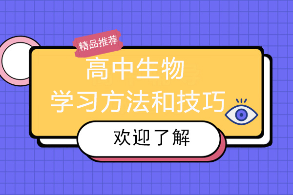 高中生物高效学习法深度解析