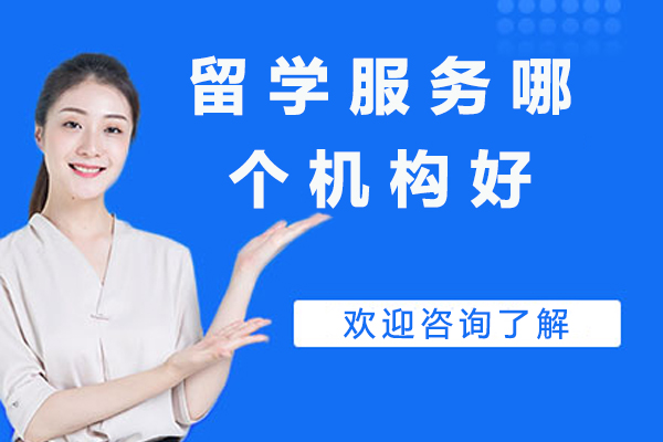 北京高端留学服务机构深度解析