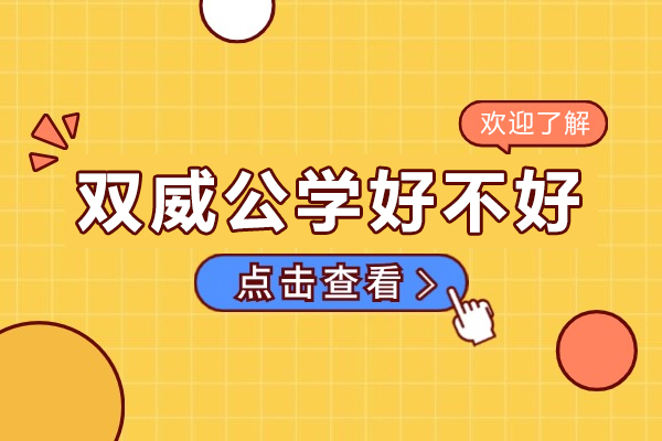 广州双威公学国际高中深度解析