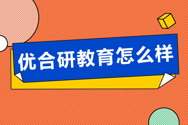 南京优合研教育国际教育项目深度解析