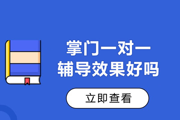 掌门一对一教学模式深度解析