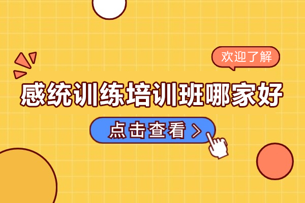 广州专业感统训练机构深度解析