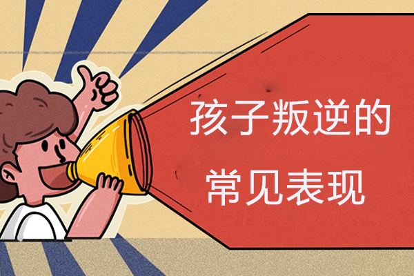 青少年行为特征深度解读与矫正方案