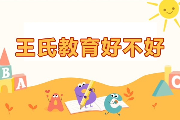 杭州王氏教育数字艺术培训课程解析