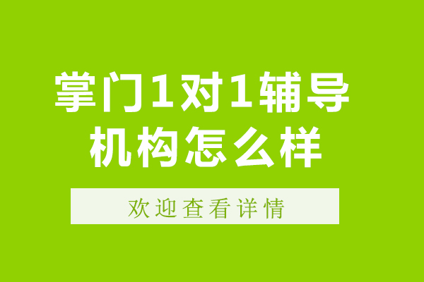 掌门1对1辅导机构怎么样