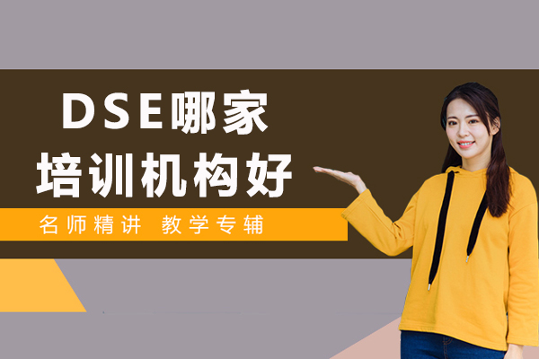 徐州DSE培训机构深度解析：素尼书院香港课程核心竞争力