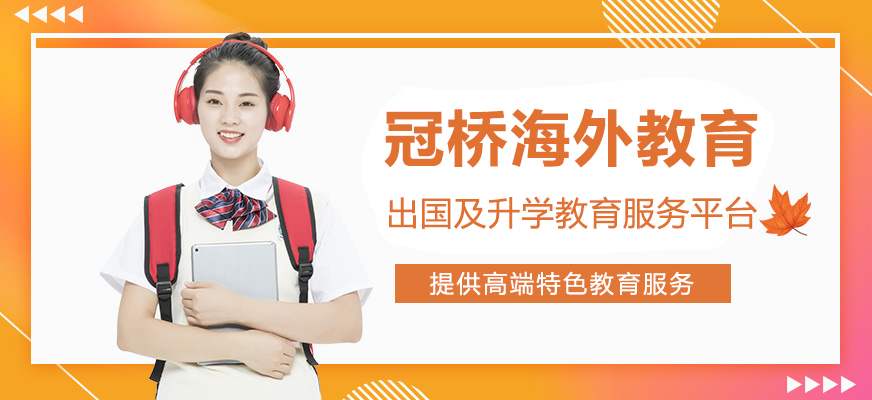 国际教育规划服务