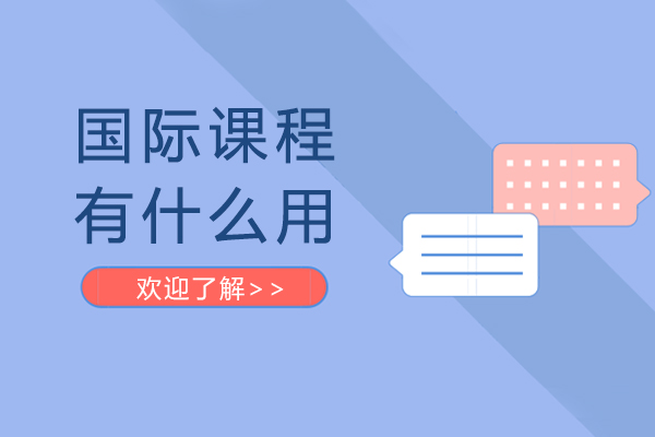国际课程核心价值深度解析