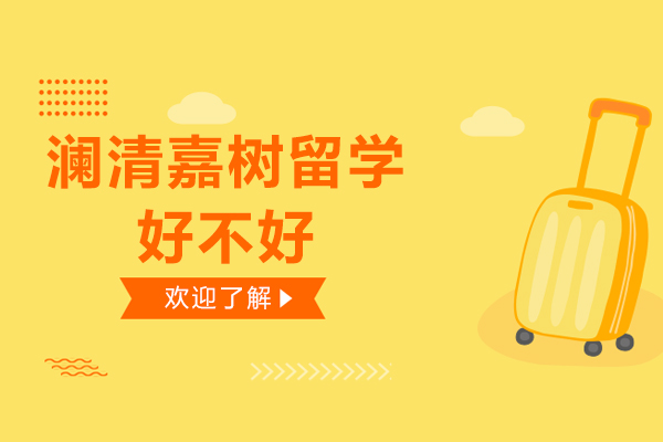 广州澜清嘉树留学服务深度解析