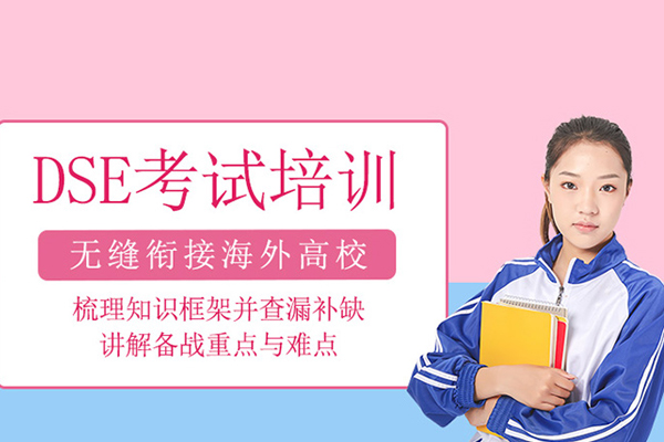 北京dse考试培训班