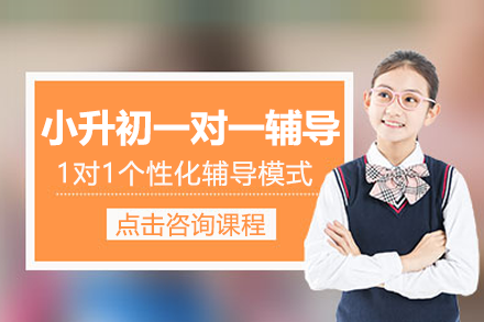 上海小升初一對一輔導(dǎo)班