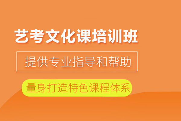 武汉艺考文化课培训班