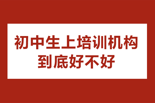 惠州初中生课外辅导选择指南