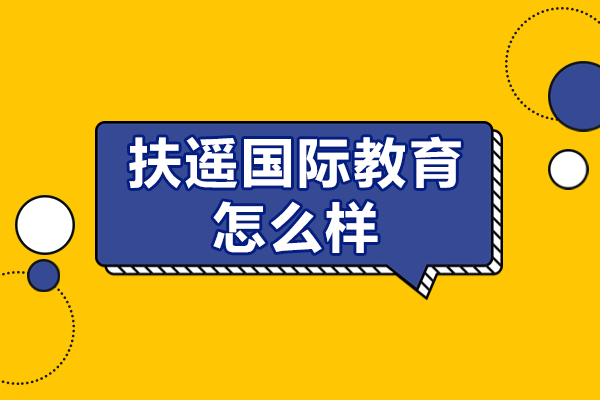 上海扶遙國際教育課程特色深度解析