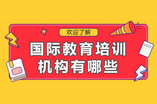 上海國際教育機構(gòu)深度解析