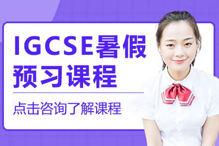 上海IGCSE公司