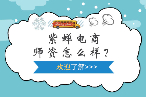紫蝉电商师度解析