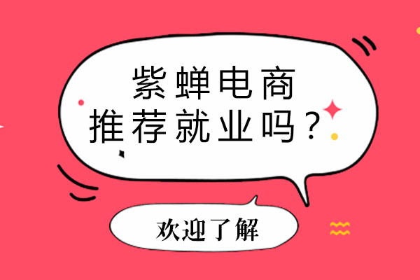 紫蝉电商服务体系深度解析