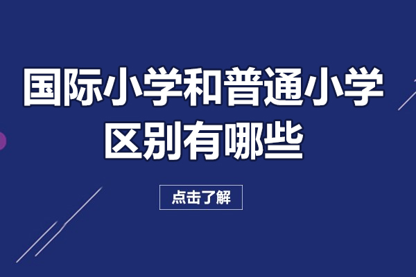 国际小学与普通小学教育模式深度解析