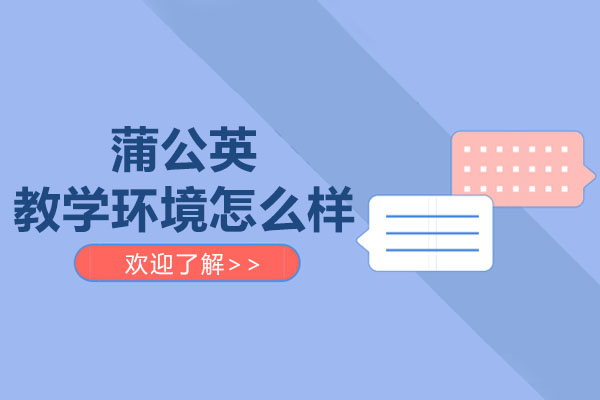 东莞蒲公英日语教学环境深度解析