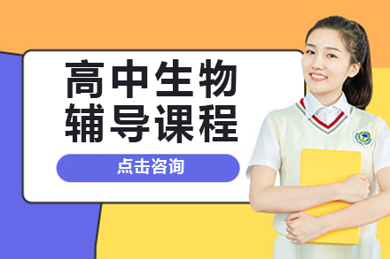 高中生物辅导班
