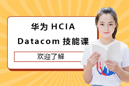 上海华为HCIA-Datacom技能课程