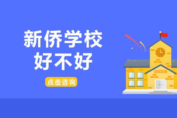 广州新侨学校教育特色深度解析