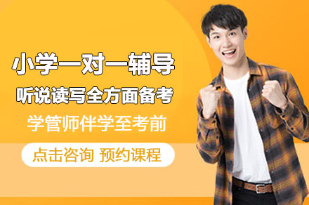 深圳小学一对一辅导