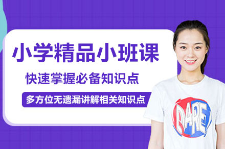 深圳小学精品小班课
