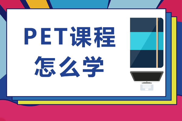 pet课程怎么学-pet应该怎么学