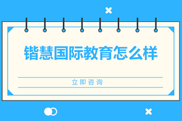 锴慧国际教育深度解析