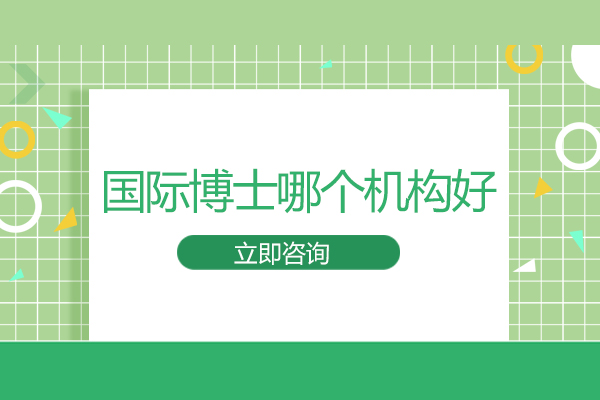 国际高等教育优选机构深度解析