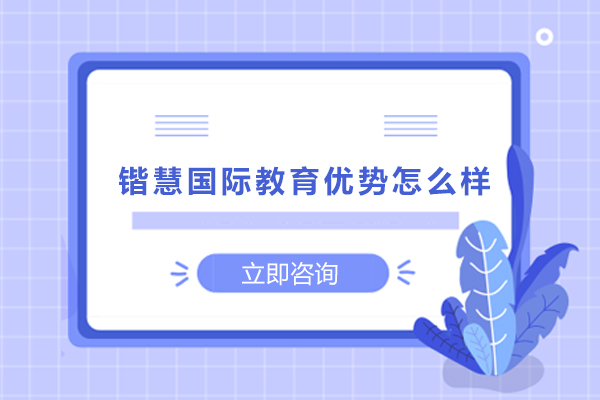锴慧国际教育核心竞争力解析