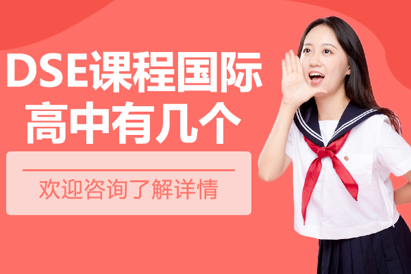 上海dse課程國(guó)際高中有幾個(gè)