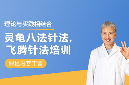 西安灵龟八法针法,飞腾针法培训
