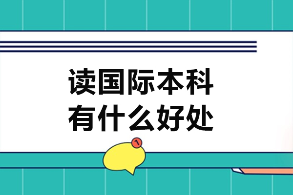 国际本科教育路径深度解析