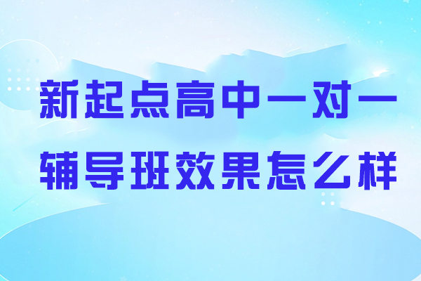 新起点高中一对一辅导班效果好吗