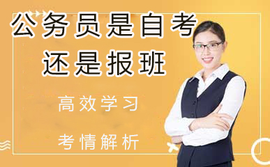 公务员备考选择策略深度解析