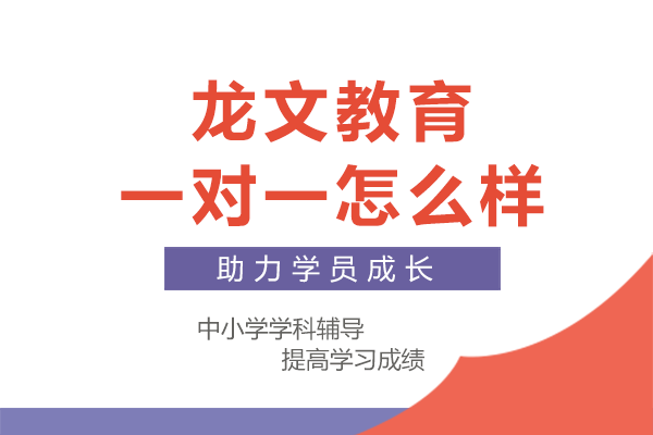 广州龙文教育一对一怎么样