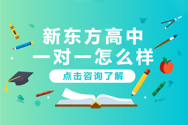 深圳新东方高中一对一怎么样