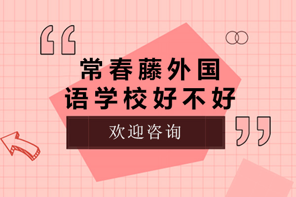 威海常春藤国际教育深度解析