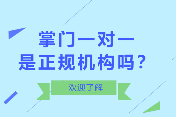 掌门一对一是正规机构吗？怎么样？