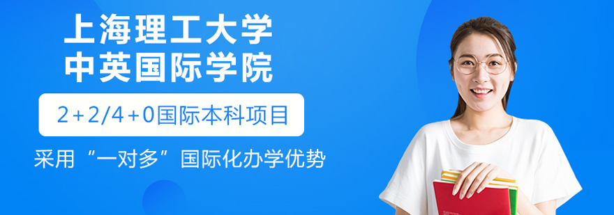上海理工大学中英国际学院教学楼