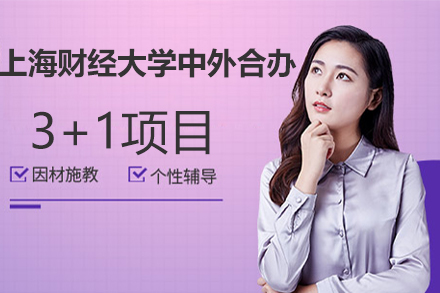 上海财经大学中外合办3+1项目